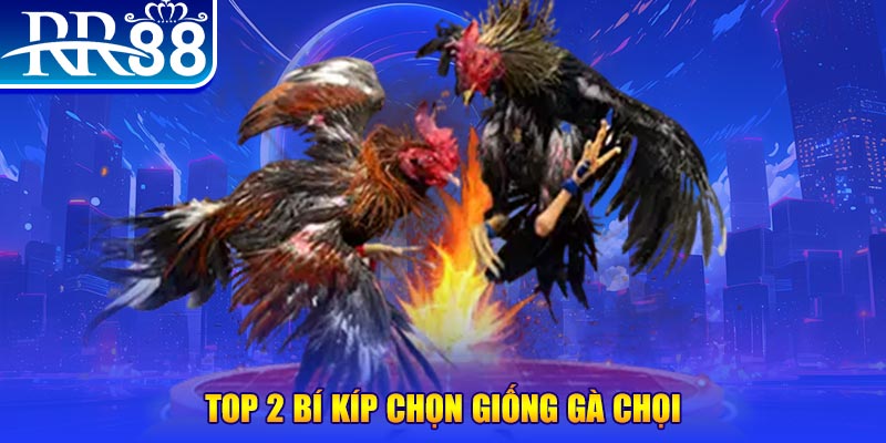 win550 bắn cá h5
