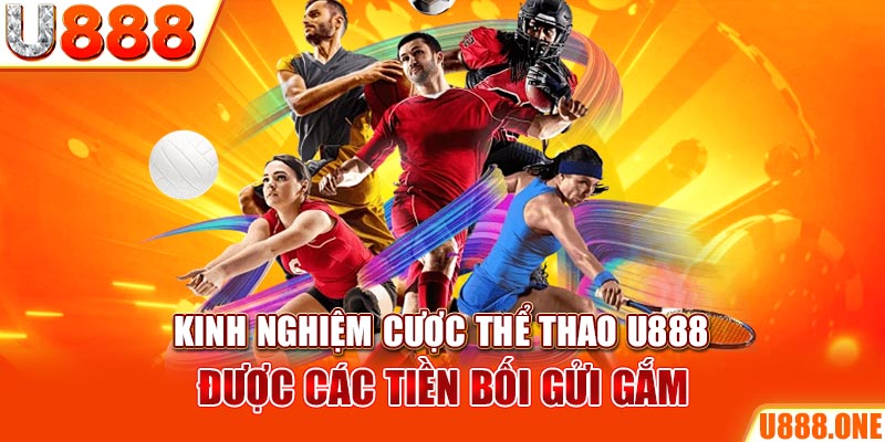 ÁT CHỦ BÀI GIÀNH LẤY ZHUANG NIUNIU ( XEM 3 LÁ )