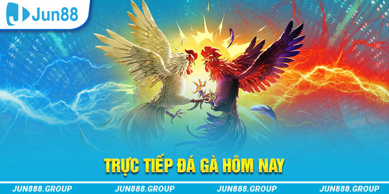 win550 trực tiếp đá gà thomo