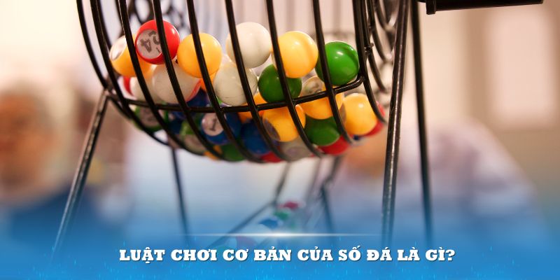 win550 Đĩa màu ace