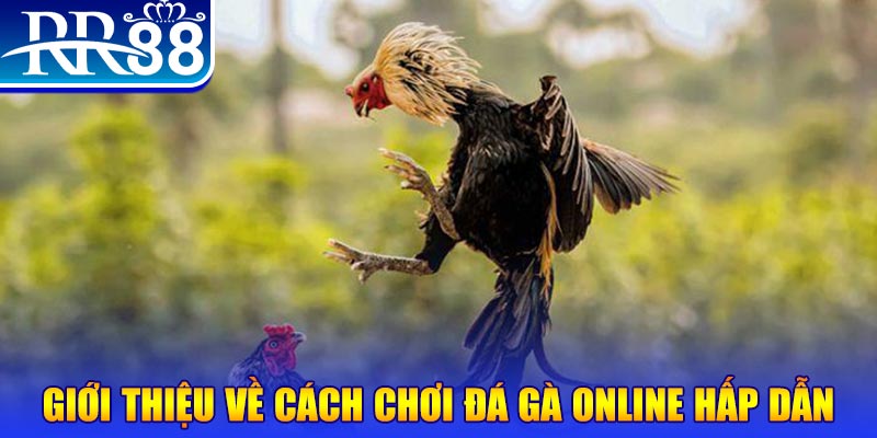 win550 what is a video slot